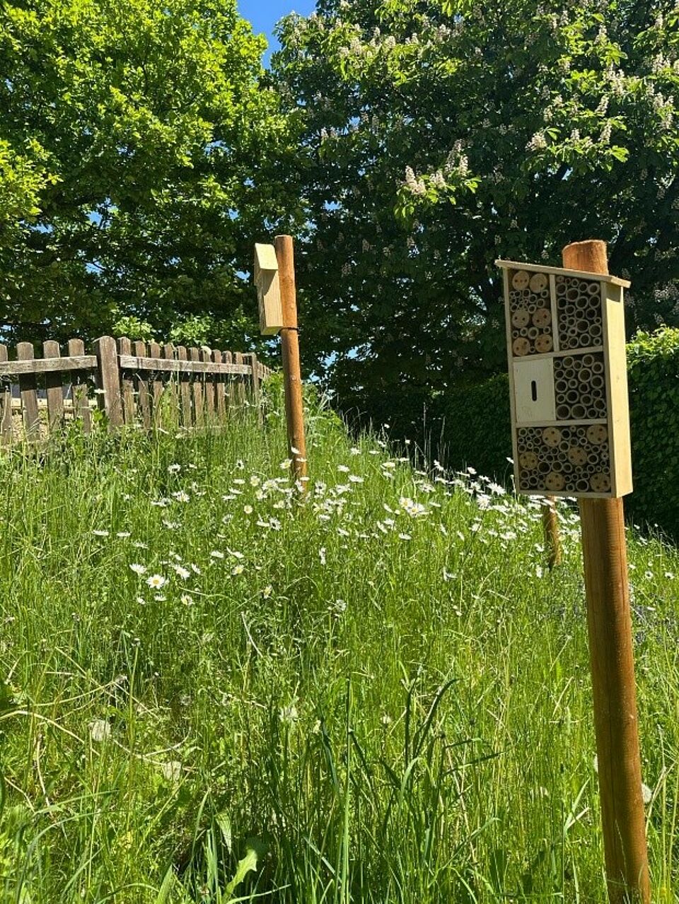 Bienenhotel auf dem Außengelände des Kindergarten Sonnenland